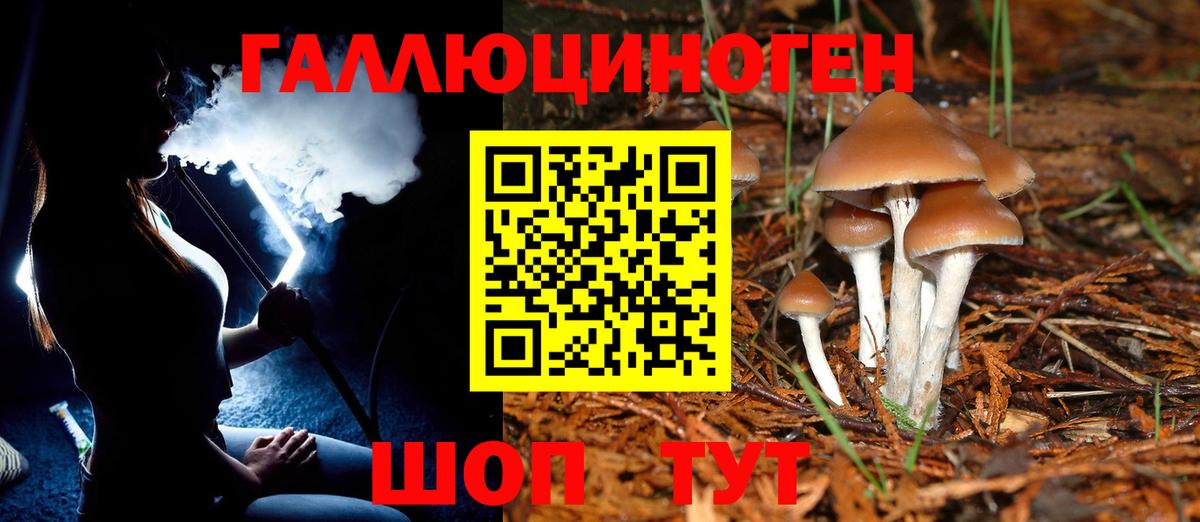 Галлюциногенные грибы Cubensis Вичуга